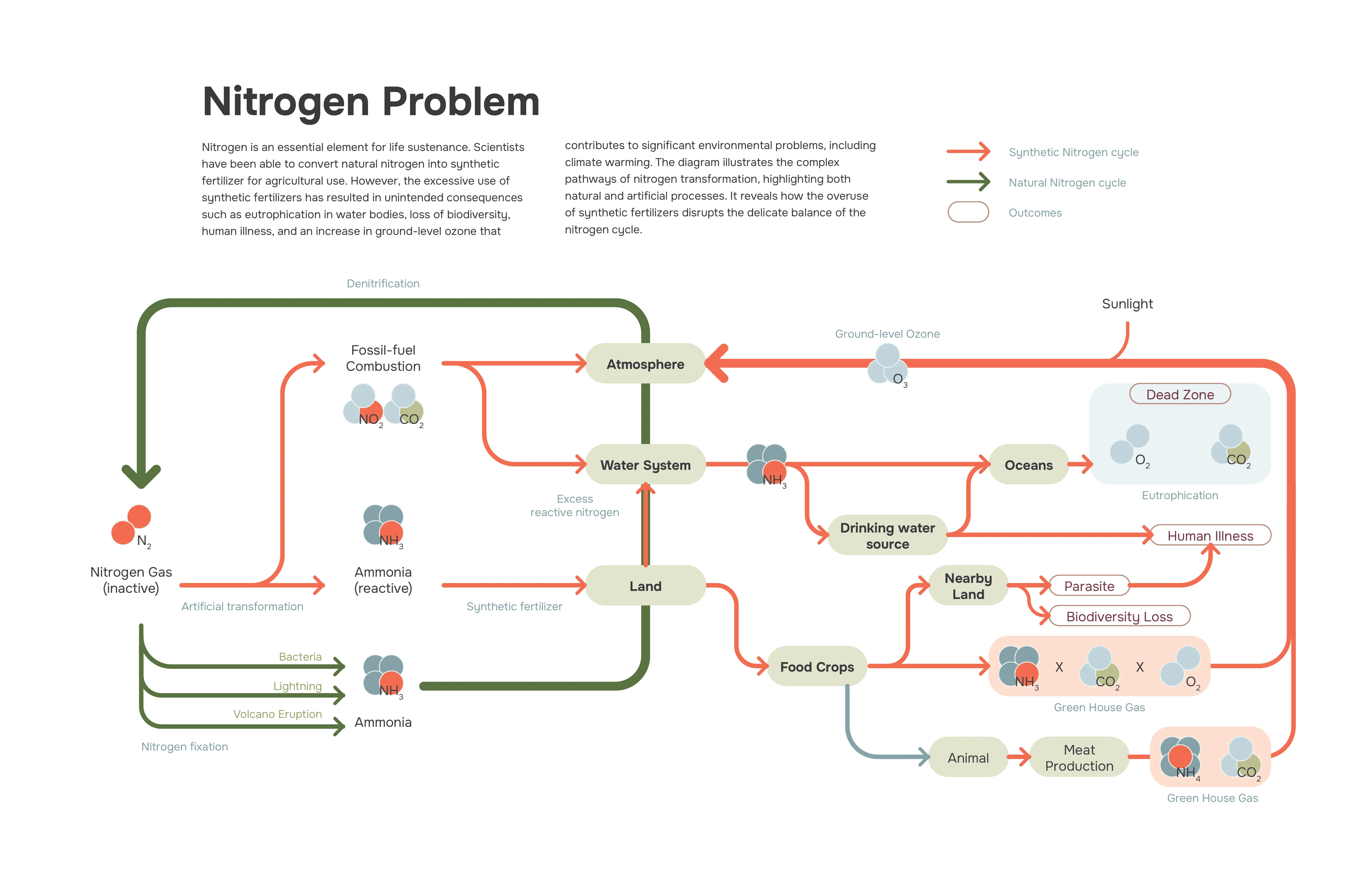 Diagramming Nitrogen Problem